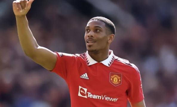 在理念上的 在理念上的